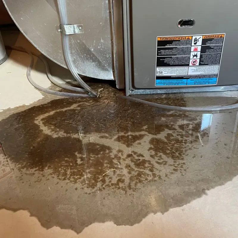 Pipe Burst and Leak Restoration in Desert Hot Springs, CA